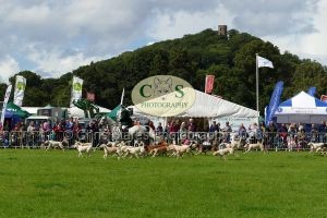 1771331546_1771331546_p1710786