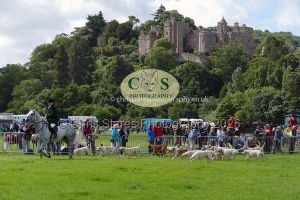 1771331548_1771331548_p1710787