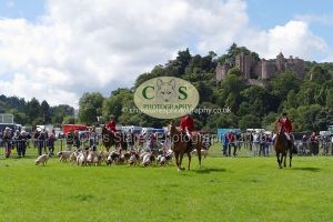 1771331552_1771331552_p1710791