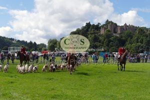 1771331554_1771331554_p1710792