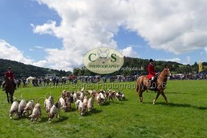 1771331555_1771331555_p1710793c