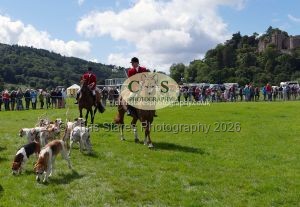 1771331558_1771331558_p1710797c