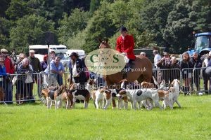 1771331561_1771331561_p1710801