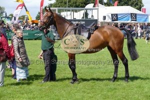 1771331564_1771331564_p1710805