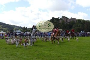 1771331567_1771331567_p1710810c