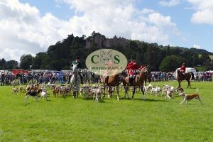 1771331572_1771331572_p1710818c