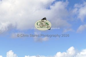 1771331576_1771331576_p1710839