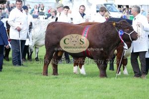 1771331601_1771331601_p1720038