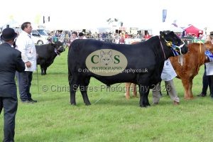 1771331603_1771331603_p1720039