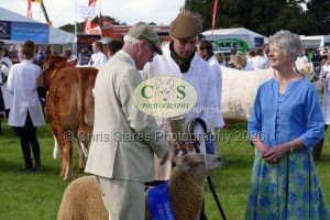 1771331610_1771331610_p1720050