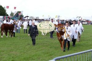 1771331613_1771331613_p1720053