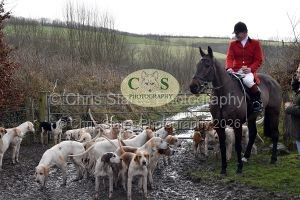 1771322061_1771322061_dsc-0465