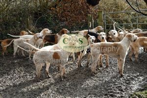 1771322070_1771322070_dsc-0476