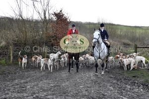 1771322090_1771322090_dsc-0516