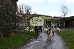 1771322095_1771322095_dsc-0521