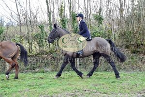 1771322109_1771322109_dsc-0534