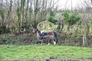 1771322120_1771322120_dsc-0545