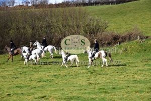 1771322170_1771322170_dsc-0589