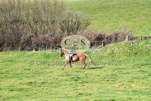 1771322173_1771322173_dsc-0591