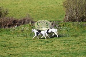 1771322180_1771322180_dsc-0596