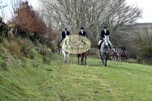 1771322183_1771322183_dsc-0608