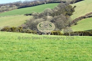 1771322213_1771322213_dsc-0640