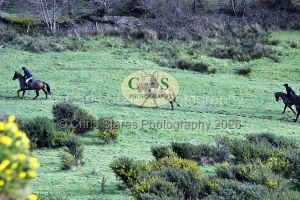 1771322216_1771322216_dsc-0649