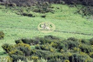 1771322222_1771322222_dsc-0653