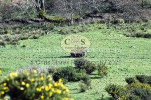 1771322228_1771322228_dsc-0659