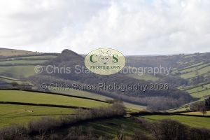 1771322234_1771322234_dsc-0665