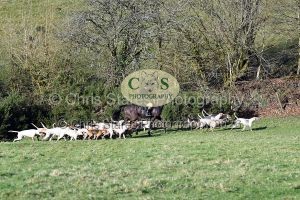 1771322238_1771322238_dsc-0670