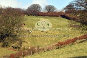 1771322241_1771322241_dsc-0677