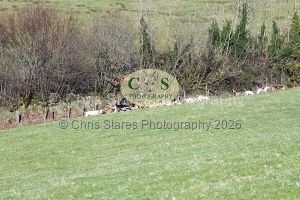 1771322244_1771322244_dsc-0679