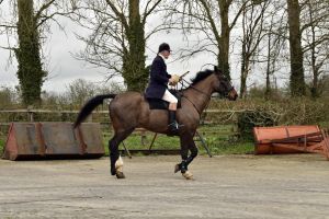 1772637210_1772637210_dsc8150