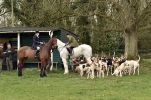 1772637212_1772637212_dsc8152