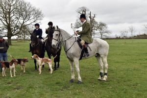 1772637218_1772637218_dsc8163