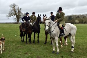 1772637225_1772637225_dsc8174