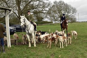 1772637226_1772637226_dsc8175