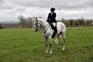 1772637231_1772637231_dsc8181