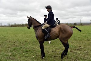 1772637236_1772637236_dsc8186