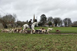 1772637244_1772637244_dsc8197