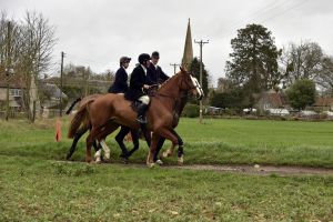 1772637252_1772637252_dsc8208