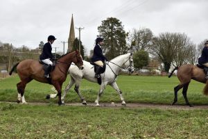 1772637254_1772637254_dsc8210