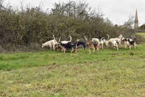 1772637256_1772637256_dsc8213