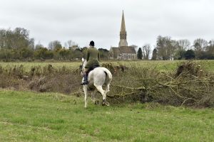 1772637264_1772637264_dsc8224