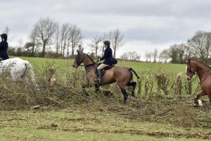 1772637267_1772637267_dsc8226