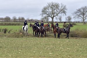 1772637271_1772637271_dsc8230