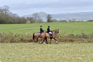 1772637274_1772637274_dsc8234