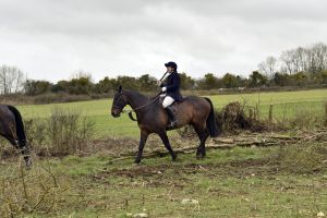 1772637281_1772637281_dsc8239