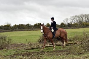 1772637283_1772637283_dsc8241